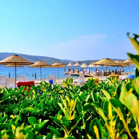Oscar Seaside & Spa