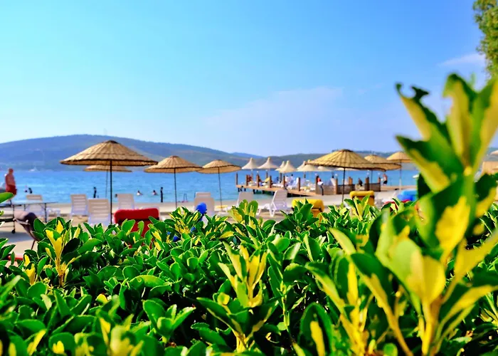 Oscar Seaside & Spa