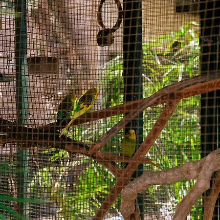 Отель Oscar Seaside & Spa