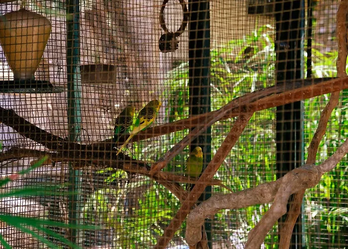 Hotel Oscar Seaside & Spa