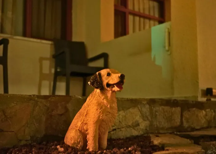 Oscar Seaside & Spa 4*