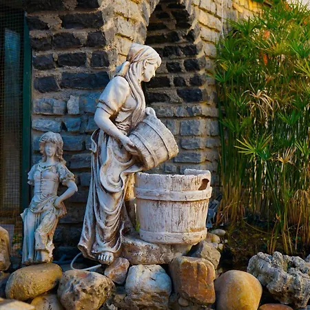 Hotel Oscar Seaside & Spa Bodrum